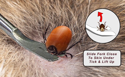 Image of Tick Remover Tick-Off - Hygienic All Stainless Steel Tick Removal Tool With Leather Case. Complete With Tick Removal Instructions & Identification Chart - Patent No. D889,646