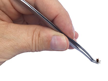 Image of Tick Remover Tick-Off - Hygienic All Stainless Steel Tick Removal Tool With Leather Case. Complete With Tick Removal Instructions & Identification Chart - Patent No. D889,646